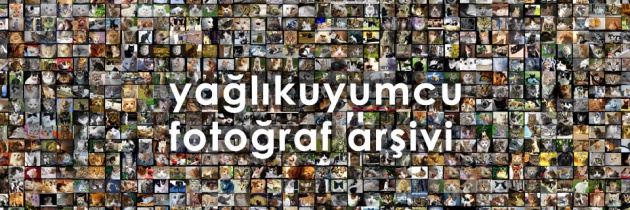 Fotoğraflar
